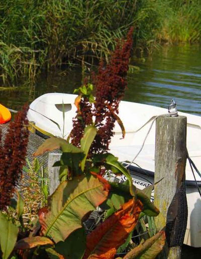 Das heuseigene Ruderboot am Steg des Wassergrundstücks am Barther Strom
