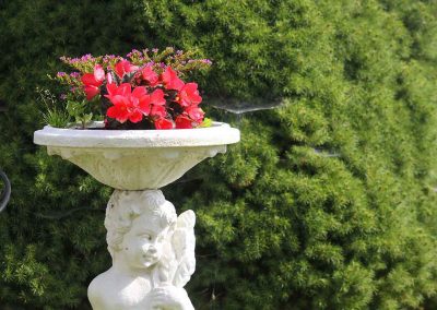 Garten Detail