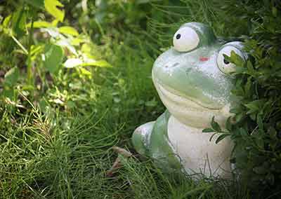 Frosch