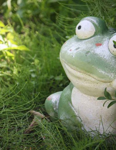 Gartenbereich der Ferienwohnungen mit dekorativer Froschfigur im Grünen