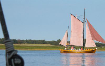 Mit dem Zeesboot auf großer Fahrt