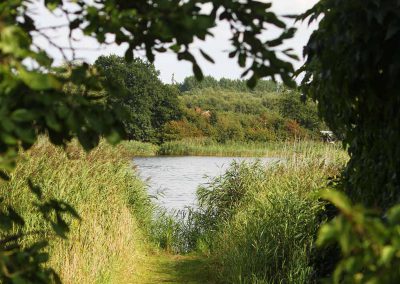 Blick zum Wasser des Barther Stroms von der Terrasse der Ferienwohnung Schilfrauschen
