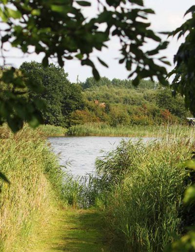 Blick zum Wasser des Barther Stroms von der Terrasse der Ferienwohnung Schilfrauschen