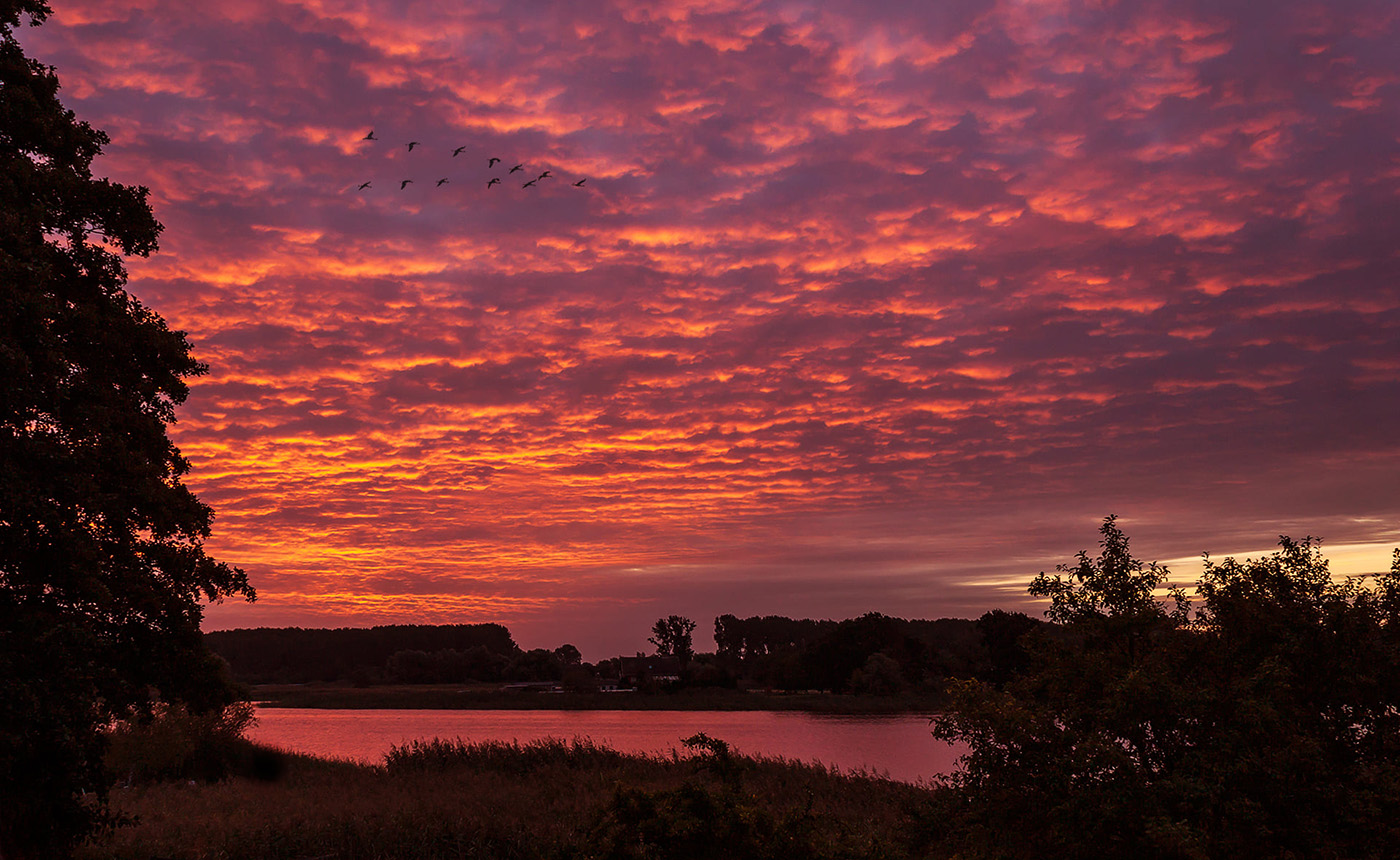 Der Barthestrom unter feuerrotem Sonnenaufgang