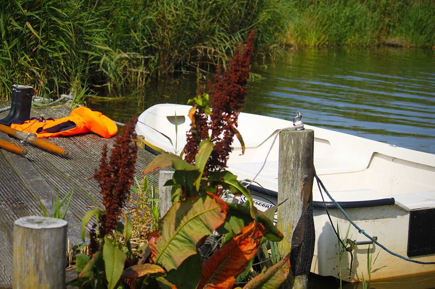 Unser Npptsanleger direkt am eigenen Grundstück